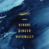 Febreze Fade Defy PLUG Air Freshener &amp; Odor Fighter - Ruhaa Store