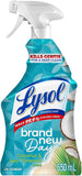 Lysol All Purpose Cleaner Trigger - Ruhaa Store