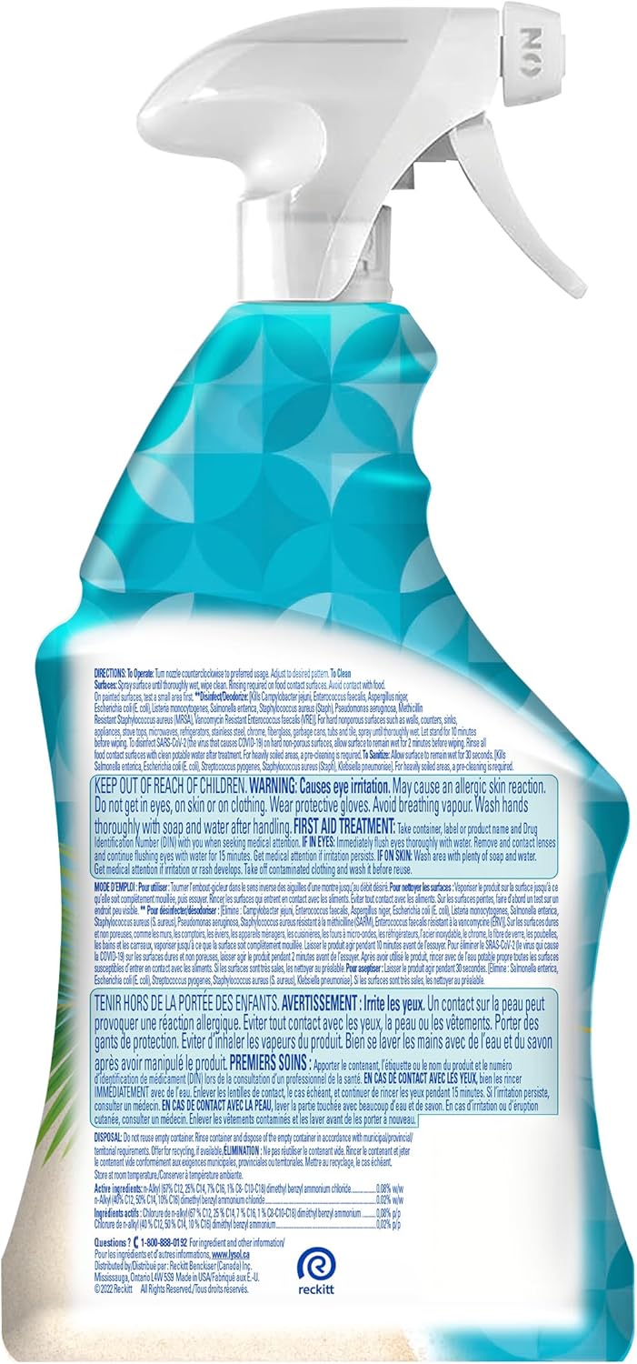 Lysol All Purpose Cleaner Trigger - Ruhaa Store