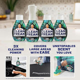 Mr. Clean Multi Surface Cleaning Spray