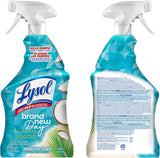Lysol All Purpose Cleaner Trigger - Ruhaa Store