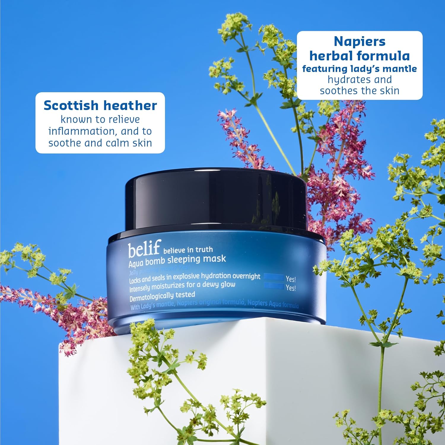 belif Vitamin E Jelly Overnight Mask